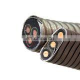 Armoured ESP Cable thumbnail-5