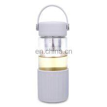 New Design 500ML Portable Borosilicate Glass Bottle With Anti-scalding Ring and Tea Filter
