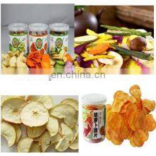 Fruit and Vegetable Chips Processing Line / Fruit and Vegetable Drying Machine thumbnail-3