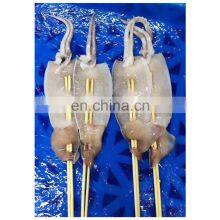 BBQ Squid Skewer Frozen Squid Fish Fillet Seafood Snack