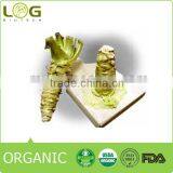 The Best Quality Wasabi Seasoning Powder Wholesale Quality Choice thumbnail-2