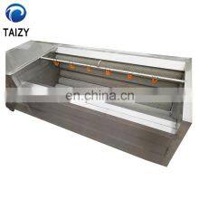 Automatic Ginger Washer and Peeler Machine Cassava Wash and Peel Machine thumbnail-2