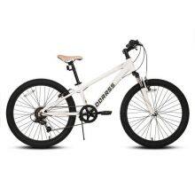 Factory in Stock 22/24/26 Inch Mountain Bike for Sale thumbnail-3