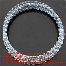 Protective Net thumbnail-2