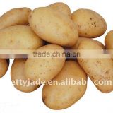fresh potatoes and sweet potatoes for sale