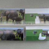 3D Viewer of Elephant 2012 New Style