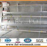 Anping Factory Galvanized Layer Chicken Cages/Battery Cage thumbnail-1