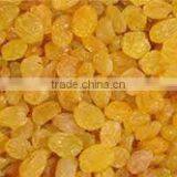 Golden Raisin thumbnail-1