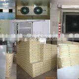 PU Insulation Cold Room Panels for Cold Room Building