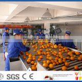 Orange Processing Plant