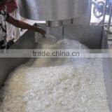 Recycled Crushed PET Bottle Washed Chips