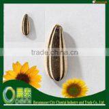 Hot Sell Bulk White Sunflower Seeds/Sunflower Seeds Supplier/china Sunflower Seeds