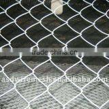 Green Color Pvc Coated Chain Link Wire Mesh Fence