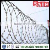 Razor Barbed Wire Cbt-65 With Clips thumbnail-6