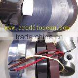 Plastic Films for Tipping Shoelace thumbnail-1