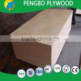 High Quality White Full Poplar core Plywood for Furniture