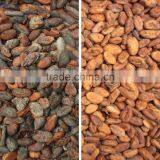 2017 Hot Selling Mini Cocoa Bean Color Sorter thumbnail-2