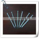 China Suppliers Cheap Price Concrete Nails /concrete Steel Nail for Construction thumbnail-3
