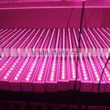 2017 IP65 36W LED Grow Bar Light Vegetable Price List thumbnail-1