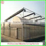 Low Cost Arched Type Multi-span Vegetable Greenhouses With Hydroponics System thumbnail-1