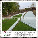Steady Quality China Agricultural PP Non-woven Fabric,Crop Cover