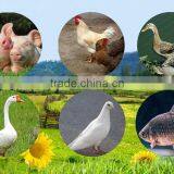 2.8 cm Freeze Yellow Dried Mealworms ;Freeze Dried Mealworms For Bird thumbnail-4