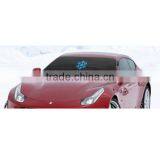 Car Front Frost Guard thumbnail-5
