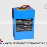 24v 10ah li Ion Battery Pack