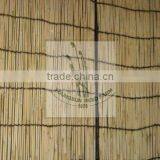 Reed Fence thumbnail-6