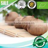 2016 Hot Sale Natural Green Food Organic Black Garlic Single Bulb China thumbnail-3