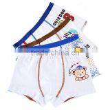 New Style 7 to 14 Years Old Transpant Kids Thong Underwear for Boys thumbnail-5