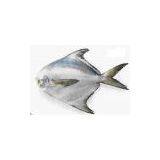 Iran (Islamic Republic Of) Aquatic Products thumbnail-1