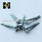 Professional Supplier for Wafer Head Self Driling Screw thumbnail-3