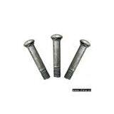 Sell Non-Standard Carriage Bolt