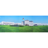 Jiangsu Dingsheng New Material Joint Stock Co., Ltd company overview - view 1 thumbnail