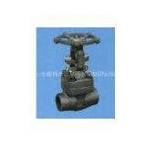 Forge Gate Valve thumbnail-1