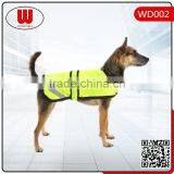 New Arrive Dogs and Puppies for Sale thumbnail-1