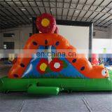 2017 Crazy Caterpillar Commercial Grade Inflatable Dry Slide for Kids for Sale