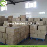Factory Wholesale Dried Wolfberry thumbnail-5