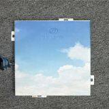 3D Priting Aluminum Ceiling Panel Aluminum Alloy 1100,3003 thumbnail-2