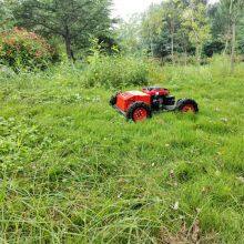 rc Lawn Mower, China Robot Lawn Mower With Remote Control Price, rc Mower Price for Sale thumbnail-2