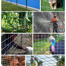 Factory Price 8 Gauge 2x2 Inch Galvanized Welded Wire Mesh Roll thumbnail-6