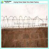 Low carbon cheap galvanized steel coiled barbed wire