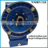 Cast Iron RV Series Worm Gear Motor Gearbox