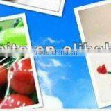 Perforated Food Packaging Film thumbnail-1