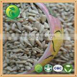 Bakery Sunflower Kernels for Human Consumption thumbnail-1