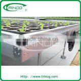 Ebb and Flow Seeding Beds in Commercial Greenhouse thumbnail-3