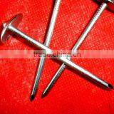 Botswana Market Galvanized Roofing Nail thumbnail-3