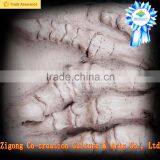 Dino Park Outdoor Museum Adventure thumbnail-3