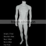 Male Mannequin Gross Color